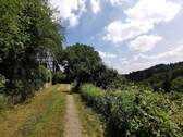 Forstweg zum Haus - 4 Zimmer Bauernhaus, Landhaus in Oberzent
