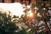 Bild 10 - 