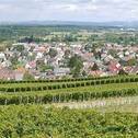 Bild 10 - 