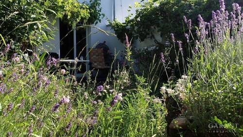 10a Terasse Hochsommer - 