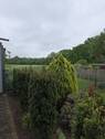 Blick vom Garten in westlicher Richtung - 