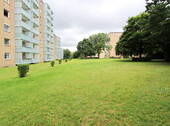 Gemeinschaftsgarten - 