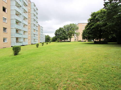 Gemeinschaftsgarten - 