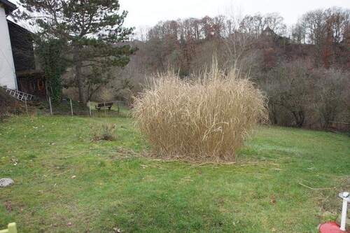 Bild 2 - Grundstück zum Kaufen in Wissen