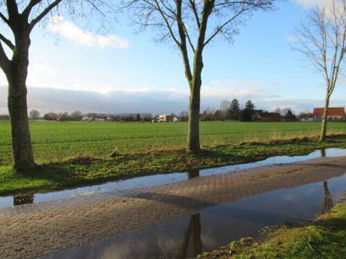 Blick in die Felder - 