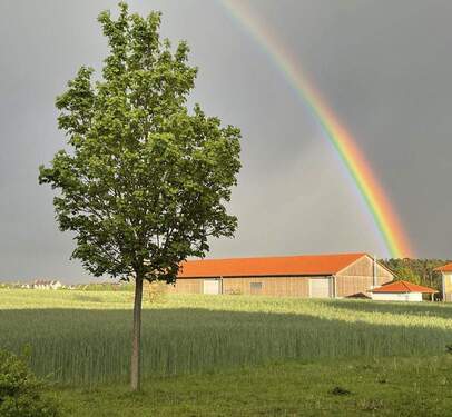 Blick in die Natur - 