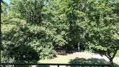 Sommerblick in den Park - 