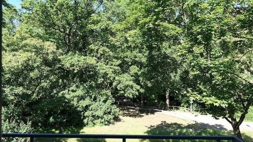 Sommerblick in den Park - 