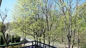 Frühlingsblick vom Balkon - 