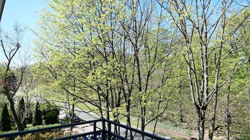 Frühlingsblick vom Balkon - 