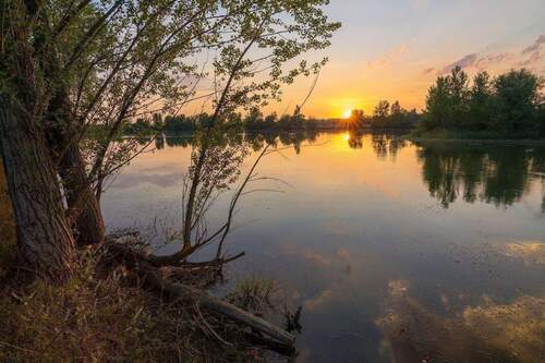See - FAMILIENWOHNEN AM GRILLENSEE 