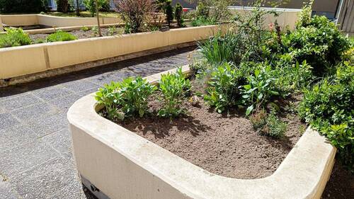 Gemeinschaftsgarten.. - 