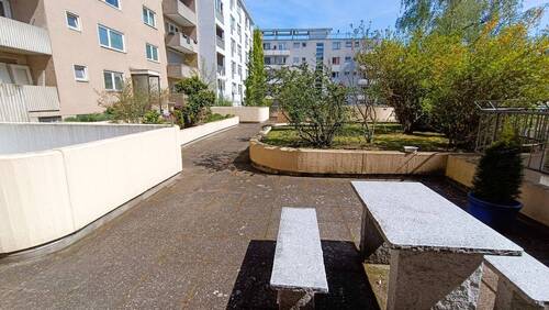 Gemeinschaftsgarten - 