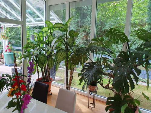 Wintergarten und Terrasse. - 