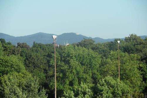 Aussicht zum Siebengebirge - 