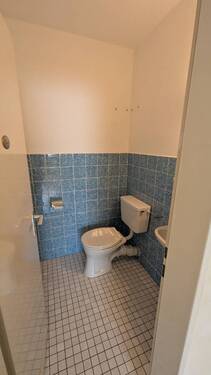 PXL_20250815_115518889 - 