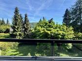 Balkonaussicht - 7 Zimmer Einfamilienhaus in Neckargemünd