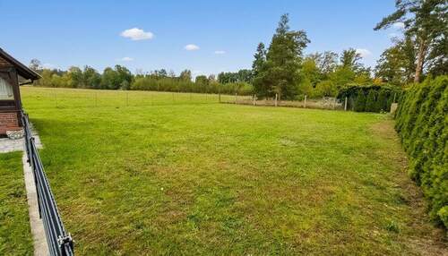 Wiese - 