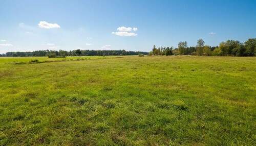 Blick in die Nachbarschaft - 