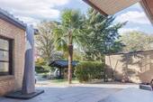 Palme - 