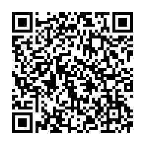 QR-Code - 1 Zimmer Etagenwohnung zur Miete in Zwickau