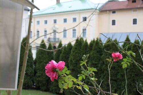 Blick aus dem Fenster - 