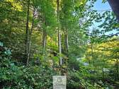 waldverkauf-baierbrunn_11.jpg - 