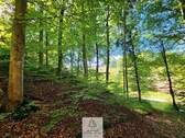waldverkauf-baierbrunn_19.jpg - 