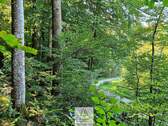 waldverkauf-baierbrunn_02.jpg - Ihr EIGENER Wald in Münchens schönem Süden