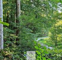 Ihr EIGENER Wald in Münchens schönem Süden - Baierbrunn