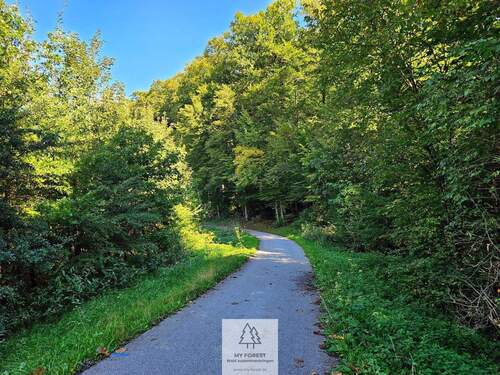 waldverkauf-baierbrunn_20.jpg - 