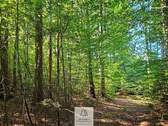 waldverkauf-baierbrunn_07.jpg - 