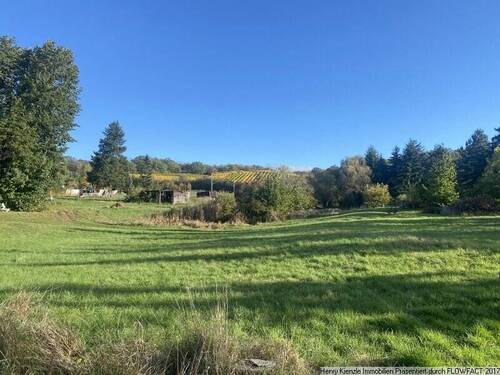 Bild 2 - Grundstück zum Kaufen in Niederau