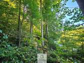 waldverkauf-baierbrunn_11.jpg - 