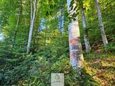 waldverkauf-baierbrunn_12.jpg - 