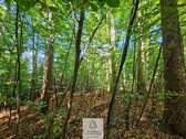 waldverkauf-baierbrunn_13.jpg - 