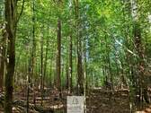 waldverkauf-baierbrunn_14.jpg - 