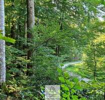 Ihr EIGENER Wald in Münchens schönem Süden - Baierbrunn