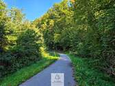 waldverkauf-baierbrunn_20.jpg - 