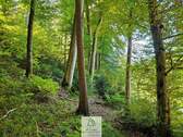 waldverkauf-baierbrunn.jpg - Grundstück zum Kaufen in Baierbrunn
