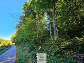 waldverkauf-baierbrunn_03.jpg - Grundstück in Baierbrunn