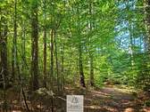 waldverkauf-baierbrunn_07.jpg - 