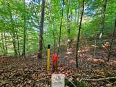 waldverkauf-baierbrunn_08.jpg - 