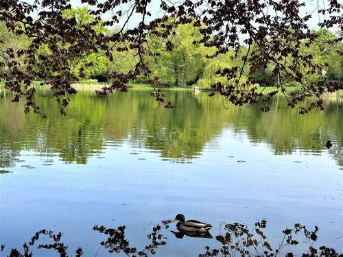10 Minuten Gehweg - 