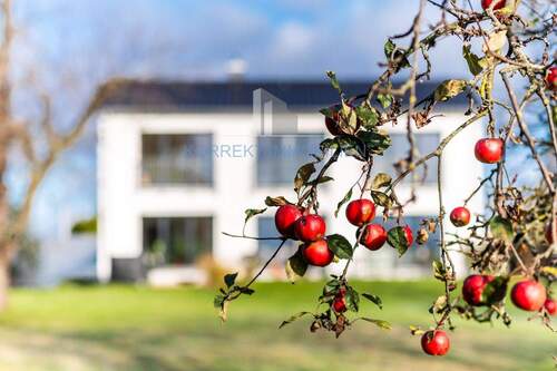 Wunderschönes Idyll in Radebeul - 6 Zimmer Einfamilienhaus in Radebeul