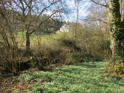 Grundstücksausschnitt - 