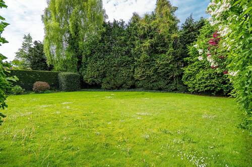 Blick von der Terrasse - 