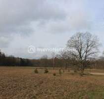 Attraktives Baugrundstück in Waldnähe - Stendal / Arnim