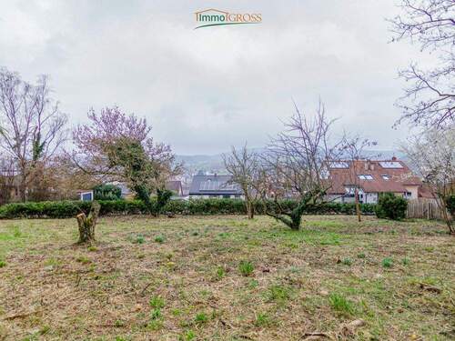 Leichte Hanglage - Grundstück in Kandern