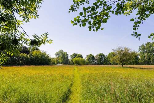 Riesiges Grundstück - 